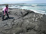 Galapagos (Mar 2009) - Day 09 - 126
